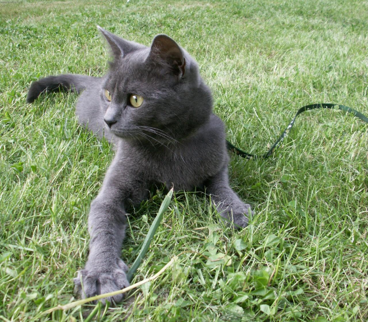 Foto: Lucinka